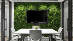 【オフィス空間コラム】働く環境を変えるオフィス緑化のメリットは？導入事例・費用・植物選びまで徹底解説を追加しました